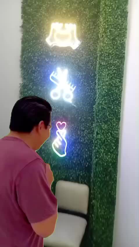 Video del proyecto